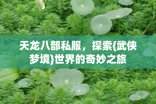 世界的奇妙之旅图片