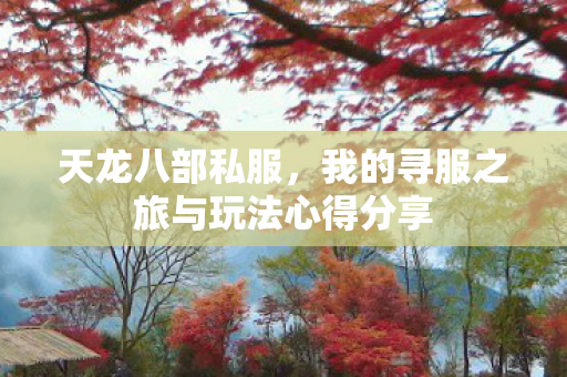 我的寻服之旅与玩法心得分享图片