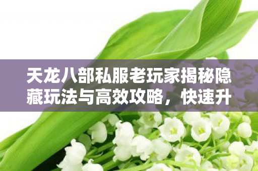 天龙八部私服老玩家揭秘隐藏玩法与高效攻略图片