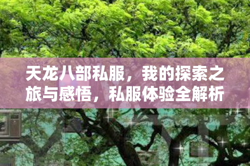 我的探索之旅与感悟图片