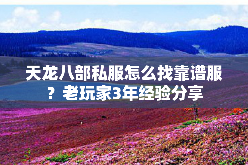 天龙八部私服怎么找靠谱服图片