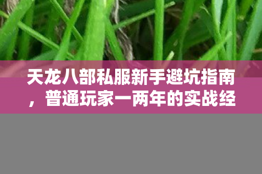 普通玩家一两年的实战经验分享图片
