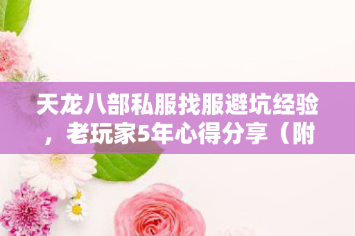 天龙八部私服找服避坑经验图片
