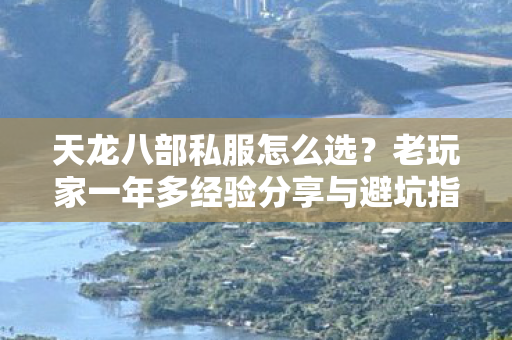 老玩家一年多经验分享与避坑指南图片