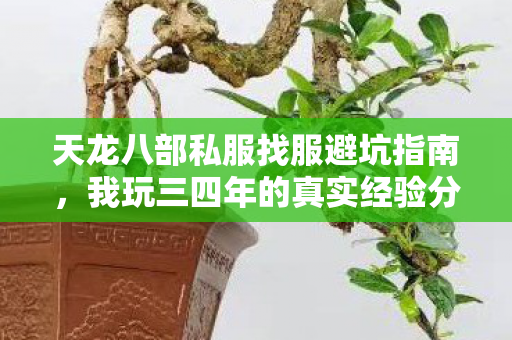 天龙八部私服找服避坑指南图片