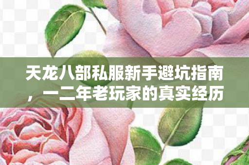 一二年老玩家的真实经历与实用攻略图片