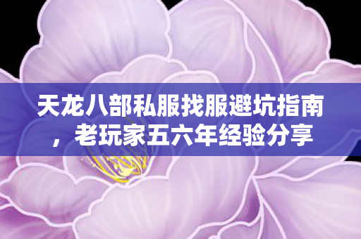 天龙八部私服找服避坑指南图片