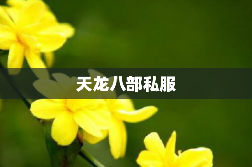 天龙八部私服图片