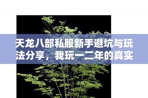 天龙八部私服新手避坑与玩法分享图片