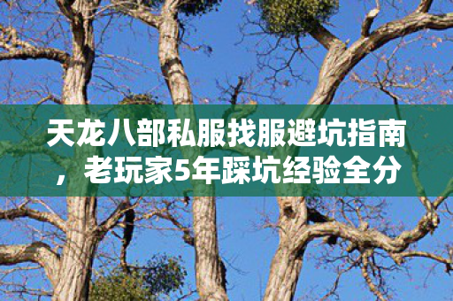 天龙八部私服找服避坑指南图片