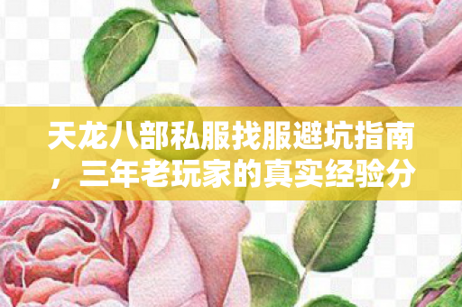 天龙八部私服找服避坑指南图片