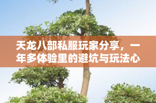 一年多体验里的避坑与玩法心得图片