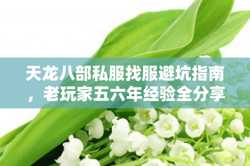 天龙八部私服找服避坑指南图片