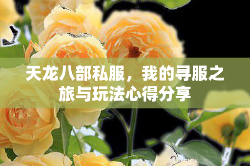 我的寻服之旅与玩法心得分享图片