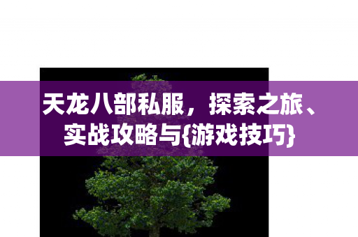 天龙八部私服图片