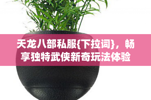 畅享独特武侠新奇玩法体验图片
