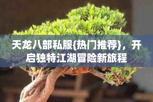 开启独特江湖冒险新旅程图片