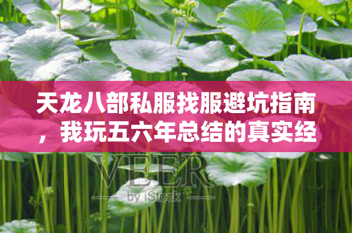 天龙八部私服找服避坑指南图片