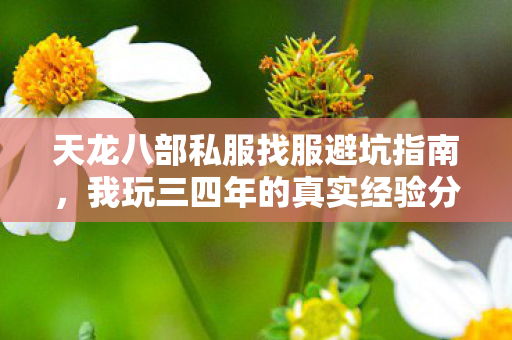 天龙八部私服找服避坑指南图片