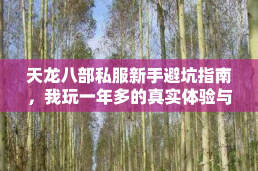 我玩一年多的真实体验与实用建议图片