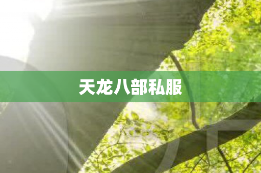 天龙八部私服图片