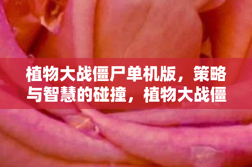 植物大战僵尸单机版图片
