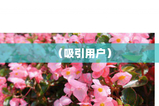 吸引用户图片
