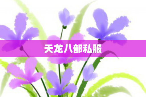 天龙八部私服图片
