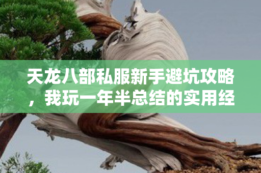 我玩一年半总结的实用经验分享图片