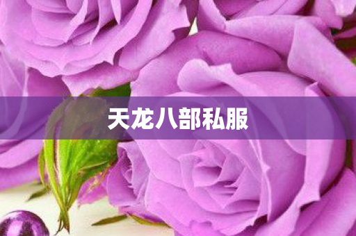 天龙八部私服图片