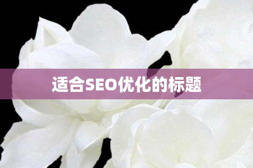 适合SEO优化的标题图片