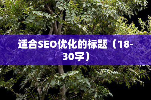 适合SEO优化的标题图片