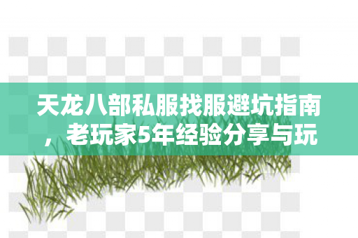 老玩家5年经验分享与玩法感悟图片
