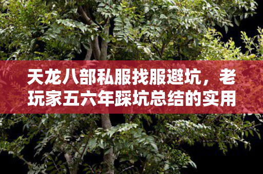 老玩家五六年踩坑总结的实用经验图片