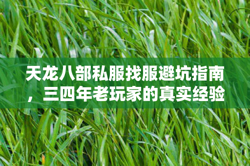 三四年老玩家的真实经验分享图片