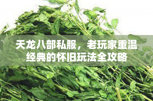 老玩家重温经典的怀旧玩法全攻略图片