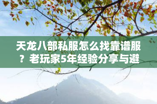 老玩家5年经验分享与避坑指南图片