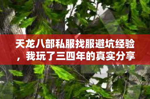 天龙八部私服找服避坑经验图片