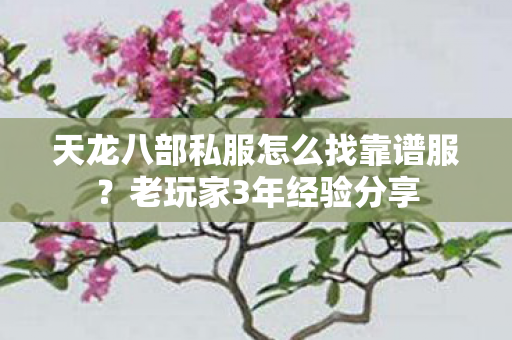 天龙八部私服怎么找靠谱服图片