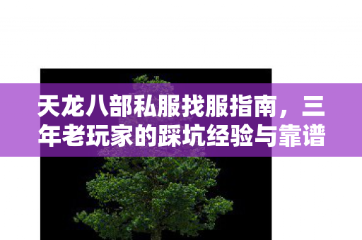 三年老玩家的踩坑经验与靠谱服选择图片