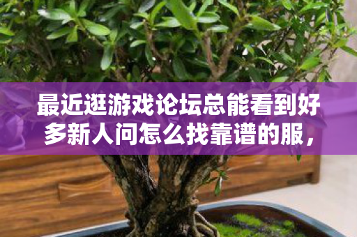 最近逛游戏论坛总能看到好多新人问怎么找靠谱的服图片