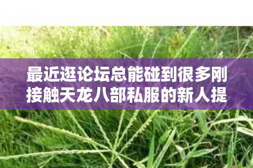 最近逛论坛总能碰到很多刚接触天龙八部私服的新人提问图片