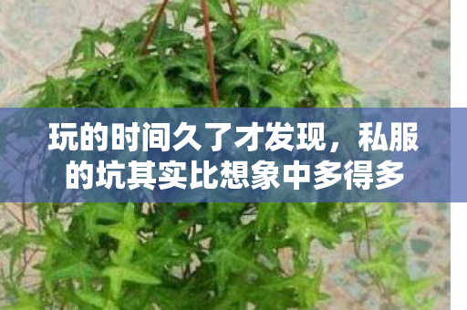 私服的坑其实比想象中多得多图片