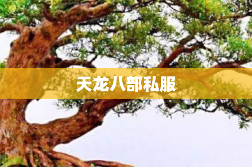 天龙八部私服图片