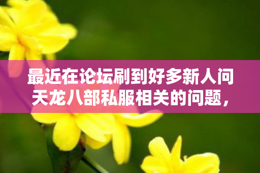 最近在论坛刷到好多新人问天龙八部私服相关的问题图片