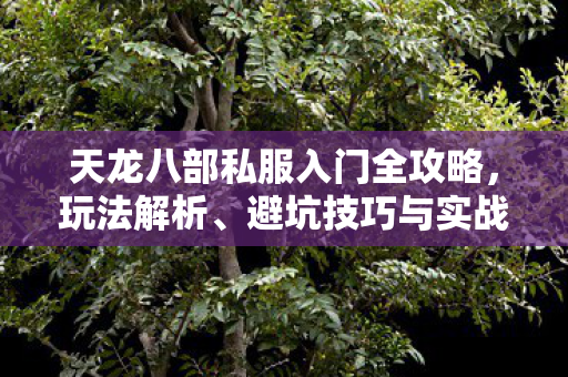 天龙八部私服入门全攻略图片