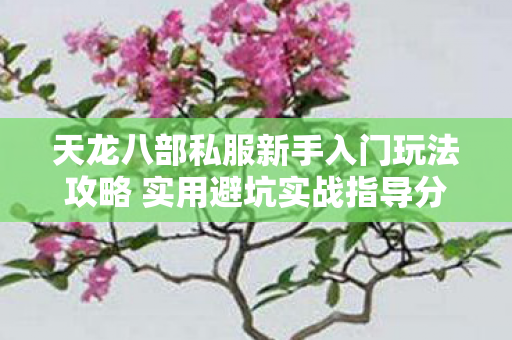 天龙八部私服新手入门玩法攻略 实用避坑实战指导分享图片
