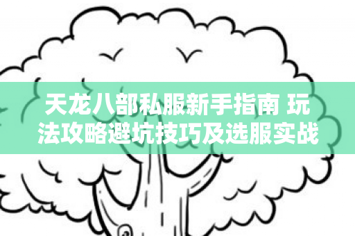 天龙八部私服新手指南 玩法攻略避坑技巧及选服实战指导图片