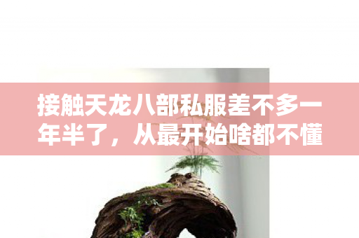 今天就跟刚入坑的朋友聊聊我的经历图片