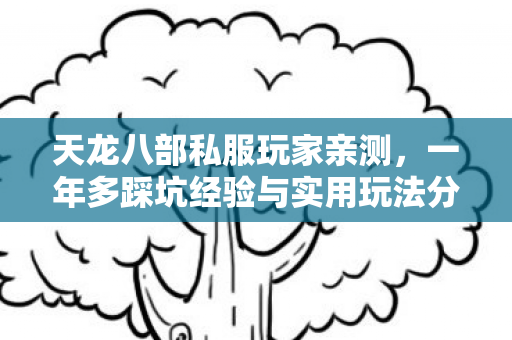 一年多踩坑经验与实用玩法分享图片